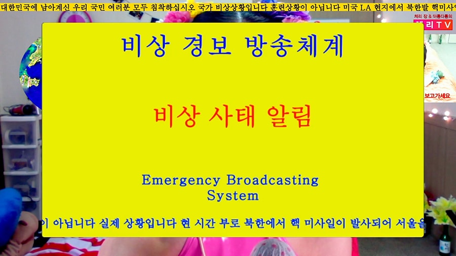 Sungsil Ryu, BJ Cherry Jang 2018.4 video image1